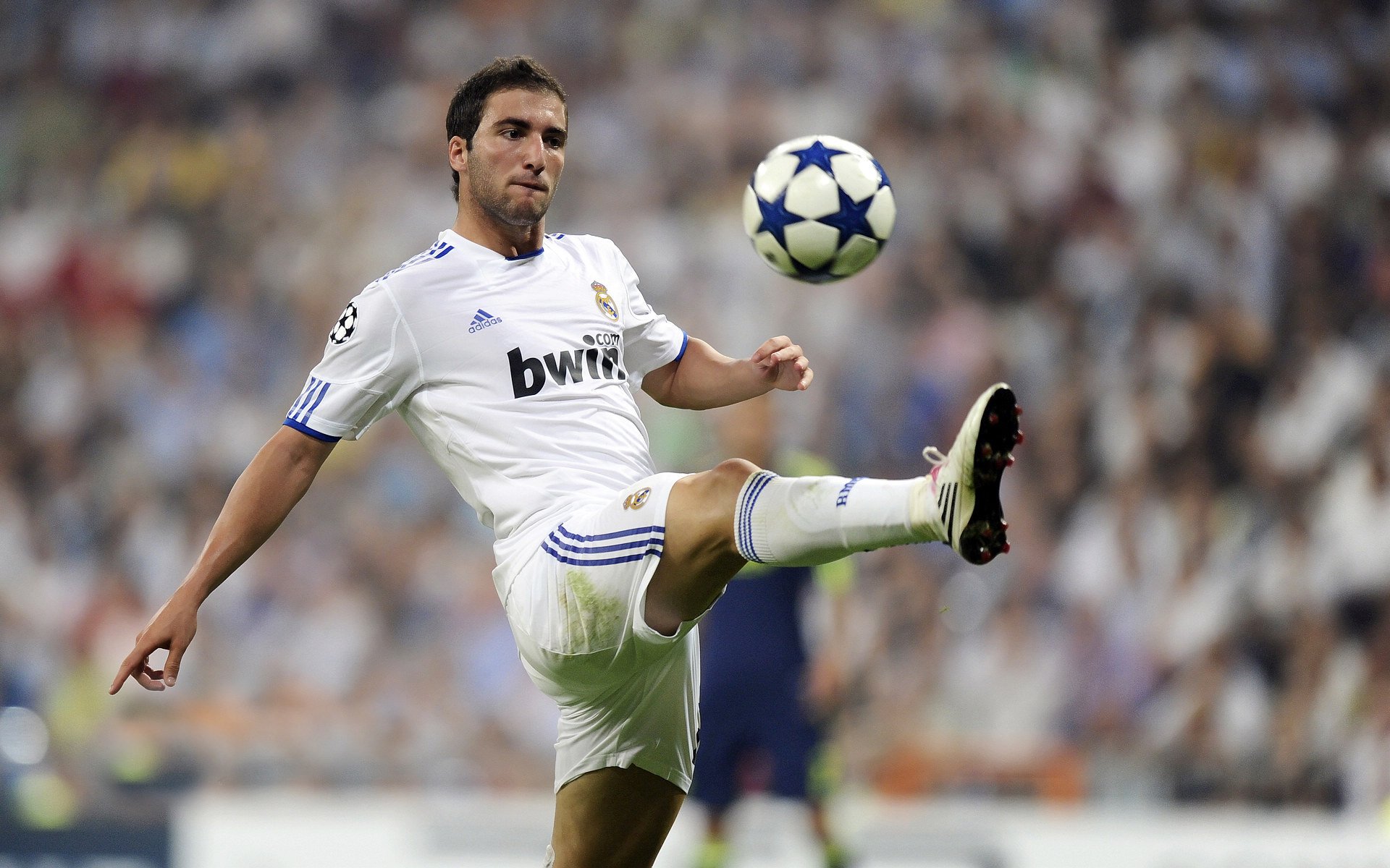 今日2场比赛解析:布莱克本有望逼平 热刺一球小胜,热刺0-1客负布莱顿遭遇两连败